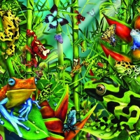 frog frenzy 2 download
